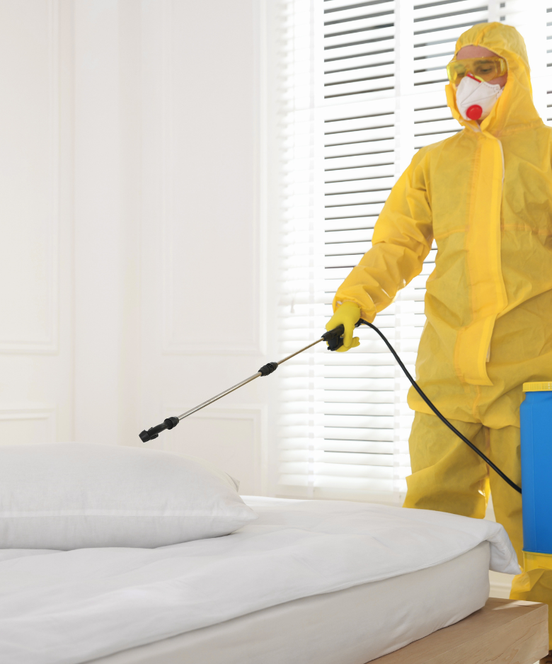 Professional Pest Control Team in Verdun